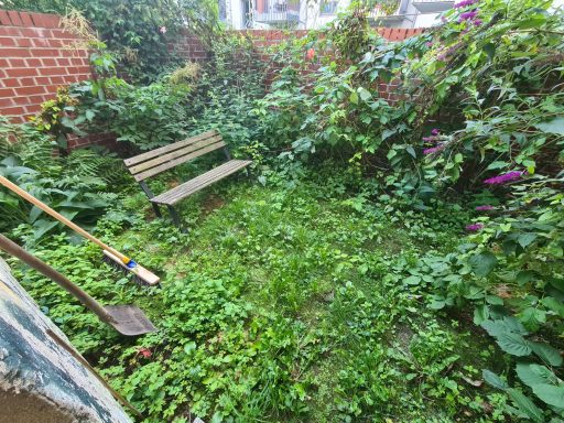 Ein verwilderter Garten mit einer Holzbank, umgeben von hohen Pflanzen und Unkraut.
