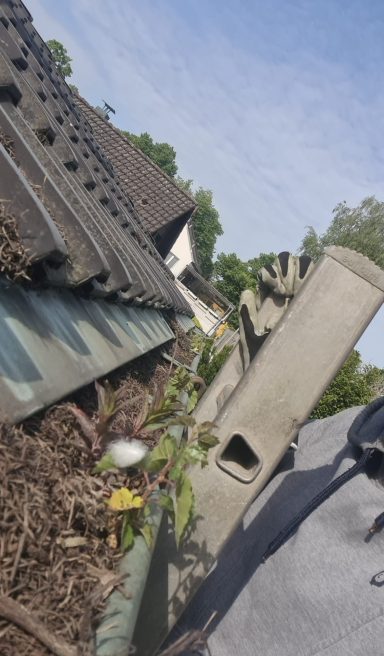 Dachland mit Pflanzen am Rand und hellem Himmel im Hintergrund.